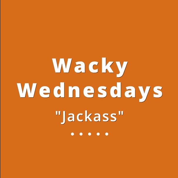 003 Wacky Wednesdays 8 - Jackass