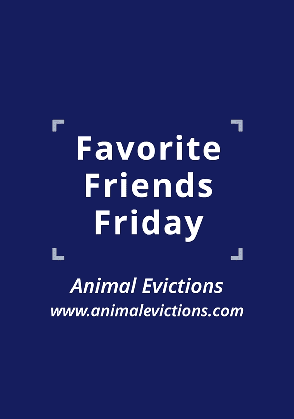 005 Favorite Friends Friday 24 - Animal Evictions