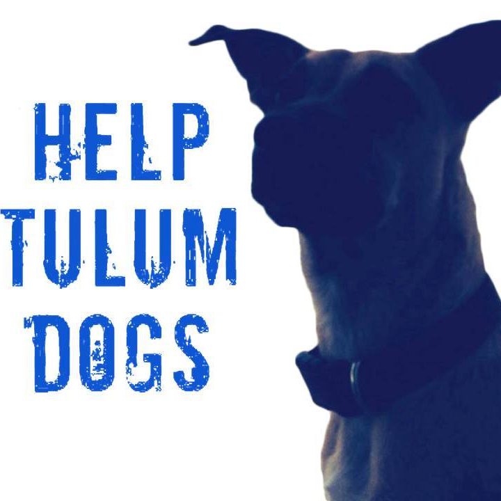 Help Tulum Dogs